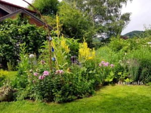 geschwungene Blumenrabatte