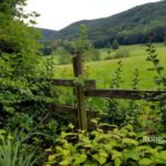 Blick über den Gartenzaun in die Landschaft