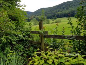 Blick über den Gartenzaun in die Landschaft