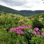 Blick aus dem Garten auf die Schwäbische Alb
