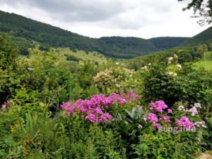 Blick aus dem Garten auf die Schwäbische Alb