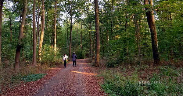 Spaziergänger in der Eilenrieden, dem Hannoveraner Stadtwald