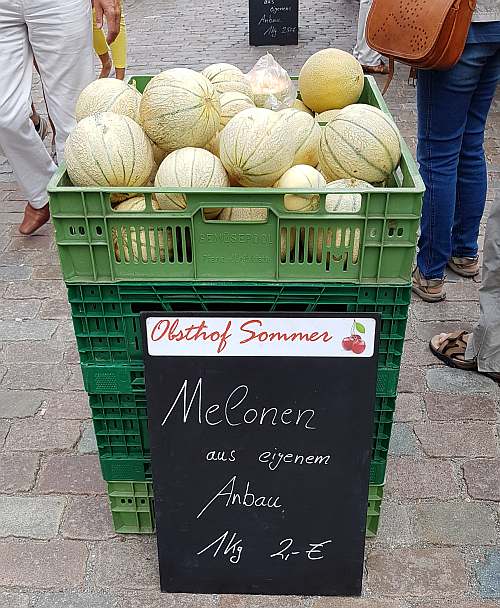 Melonen aus dem eigenen Anbau