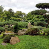 ✿ Bad Langensalza: Japangarten – Wellen, Wogen, Kurven