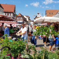 ☼ Eisheiligen-Wetter 2018: Speiseeis-Temperatur am 2. Tag