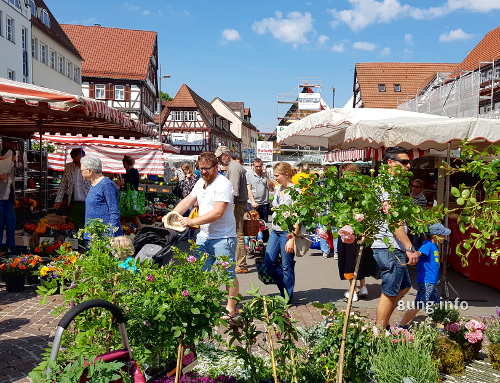 Wochenmarkt in Kirchheim 