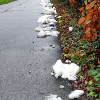 ☼ Wetter im Januar 2019 – Sturmböen, Schnee, Regen