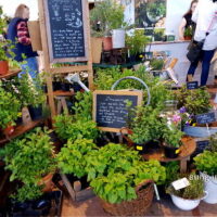 ✿ Garten 2018 – Messe der Gegensätze