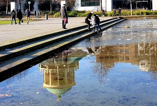Spiegelung mit dem goldenen Hirschen im Eckensee
